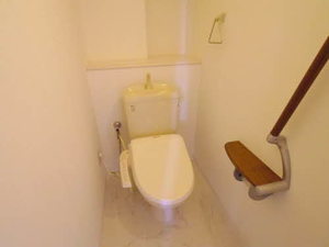 マキシムドルフＭ・Ｓ・Ｙ 0501号-12