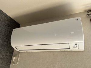 ラヴィロータス 3101号-10
