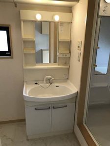 アムールイズミ 0101号-12