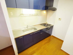 Ｄｕｋｅ　Ｔａｋａｙａｍａ 0301号-4