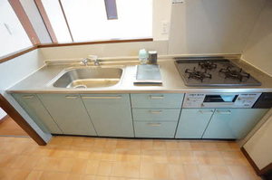 グレイス柏井 0101号-5