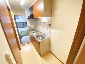 ハウスこだま 0102号-9