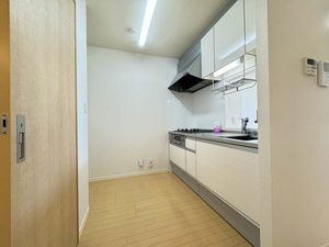 アジャート F202号-15