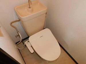 タウニーＫ 0202号-10