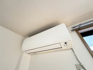 シャンテコスモス 0106号-11