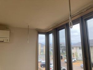 Brownie今朝白 0201号-3