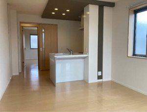 Brownie今朝白 0201号-4