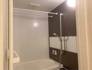 Brownie今朝白 0201号-8