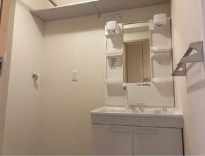 Brownie今朝白 0201号-9