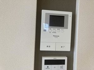 Brownie今朝白 0201号-10