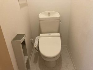 Brownie今朝白 0201号-13