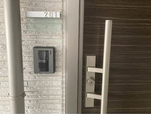 Brownie今朝白 0201号-14