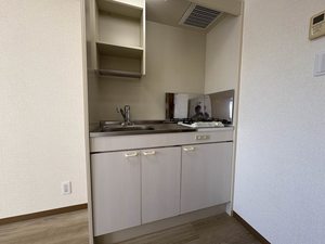 Ｓａｌｕｔｅ 0304号-4