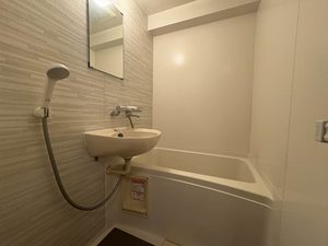 Ｓａｌｕｔｅ 0304号-8