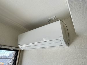 Ｓａｌｕｔｅ 0304号-13