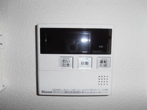 シェリー 0101号-13