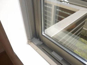 エス　フローラ 0102号-14