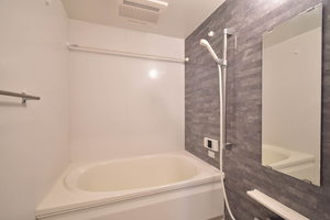 シャーメゾン　レフィシア 0101号-5