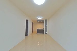 カプリレモン 0102号-2