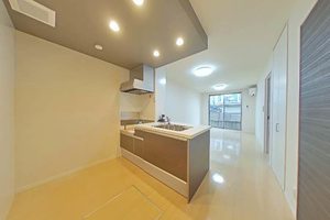 カプリレモン 0102号-3