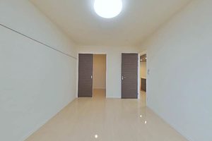 カプリレモン 0102号-5