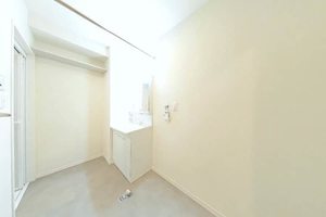 カプリレモン 0102号-14