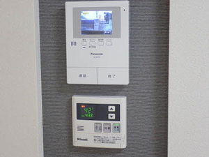 カプリレモン 0201号-7