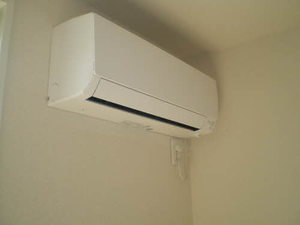 ・アソルティー 0102号-5