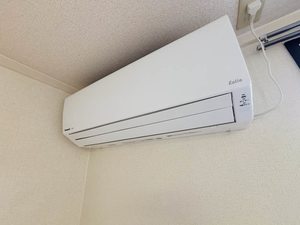 フォーブルN 0201号-11