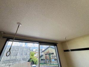 フォーブルN 0201号-12