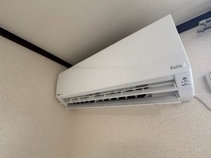 フォーブルN 0203号-5