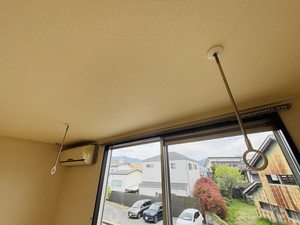 フォーブルN 0205号-5