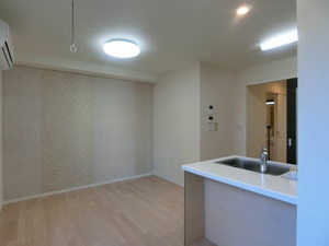 セントラルハウス 0102号-3