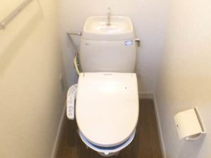 石神ハイツ A102号-10