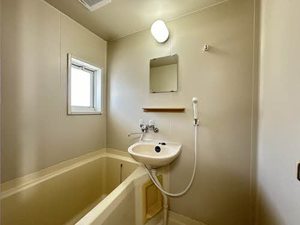 石神ハイツ B102号-5