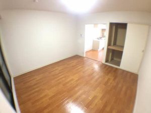 石神ハイツ C202号-4