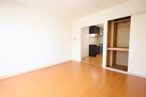 石神ハイツ C206号-6