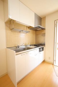 石神ハイツ D203号-3