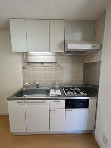 石神ハイツ D205号-2