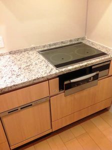 グランドメゾン池下ザ・タワー 2906号-9