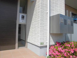 ｓｅｒｅｎｏ A301号-2