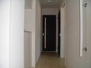 ｓｅｒｅｎｏ A301号-4