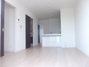 ヴィアソーレ B201号-7