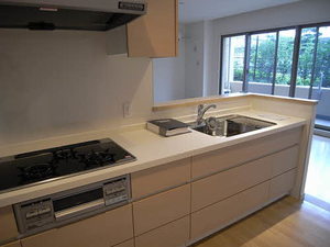 プライムメゾン富士見台 0107号-5