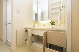 プライムメゾン富士見台 0107号-11