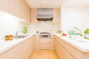 プライムメゾン富士見台 0202号-4