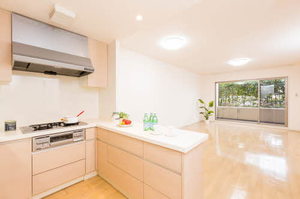 プライムメゾン富士見台 0302号-4