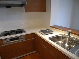 プライムメゾン富士見台 0305号-3