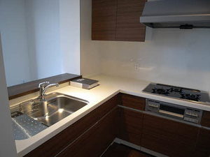 プライムメゾン富士見台 0411号-3