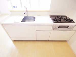 グランヴェルデ高岳 0301号-3